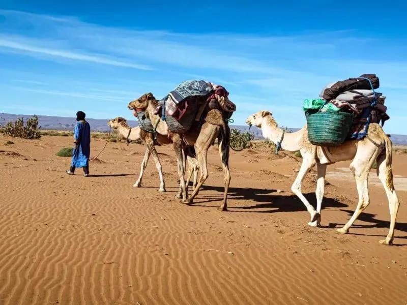 Camp Gazelle Du Desert M'Hamid Exterior photo